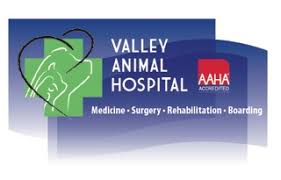 Membership is for a minimum period of 1 year from the membership start date. Animal Hospital In Clifton Veterinarian Nutley Montclair Valley Animal Hospital Veterinarian In Clifton Nj Us