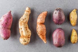 Patate dolci o patate americane. Tipi Di Patate Caratteristiche E Preparazioni Piu Adatte