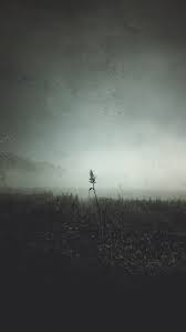 Portrait Display Vertical Landscape 1080p Wallpaper Hdwallpaper Desktop In 2021 Vertical Landscape Black And White Wallpaper Wallpaper