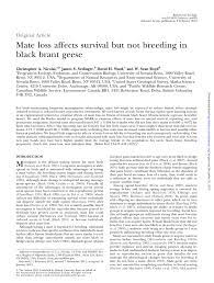 Phillip john gregory — we all fall down 02:17. Pdf Mate Loss Affects Survival But Not Breeding In Black Brant Geese