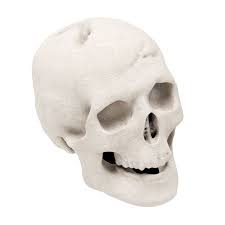 These fireproof skulls are a perfect addition to any fire. Regal Flame Human Skull Ceramic Wood Large Gas Fireplace Logs Logs For All Types Of Gas