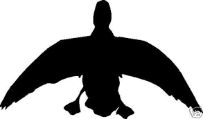 Maybe you would like to learn more about one of these? Silhouette Landing Duck Hunting Decal 8 5 X 5 On Popscreen