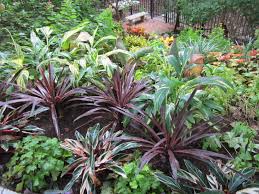 Maybe you would like to learn more about one of these? Shade Plants For Central Texas Lisa S Landscape Design