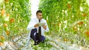 This position will provide assistance to members along with inquiries about gym operations and policies, as well as perform various. 27 High Paying Jobs Perfect For People Who Don T Want To Sit At A Desk