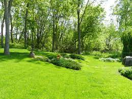 How do lawn care companies charge? Organic Lawn Care Near Me In Malta Idaho