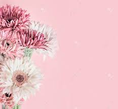 Free for commercial use no attribution required high quality.related images: Pastel Pink Floral Background With Aster Gerbera And Daisies Flowers Bunch Stock Photo Picture And Royalty Free Image Image 100901213