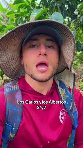 Carlhoos Alberto Whatsapp