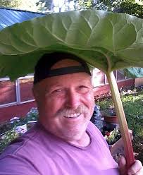 Frank planted many seeds in East Hartford and throughout his adventurous  life. May they continue to blossom in the garden of everyone he taught.  https://www.ehgazette.com/?p=2514