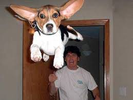 In fact, many of these pictures make fun of men. 25 Hilariously Unexplainable Images 19 Made My Day Lol