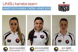 Saša kalajdžić soll dem vfb stuttgart noch länger erhalten bleiben. Takmicari Unsu A Krecu Put Venecije Na Svjetsku Smotru Mladih Karatista Bijeljina Danas