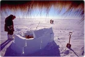 Povos do Ártico, Inuit, Alutiit, Sami Eskimo, Esquimós