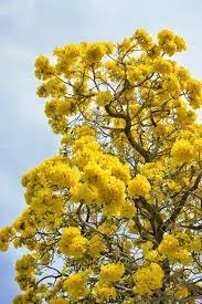 Pin On Garden Ideas