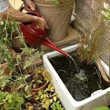 Create A Mini Pond Using A Belfast Sink Mini Pond Belfast Sink Garden Wildlife Gardening