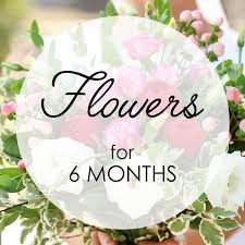 Maybe you would like to learn more about one of these? Flowers For 6 Months In Chester Nh Lady Slipper Creations Innovative Floral Design