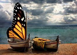 Just Cool Boat Photo Sailing