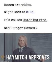 The Hunger Games Memes Google Hunger Games Humor Hunger Games Hunger Games Catching Fire