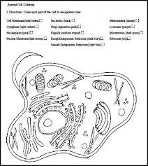 Christian Home School Hub Cytology Study Of Cells Plant And Animal Cells Animal Cell Color Worksheets