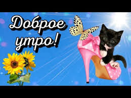 We did not find results for: S Dobrym Utrom Pyatnicy 13 Avgusta Dobroe Utro Youtube