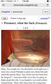 Pin On Funny And Interesting