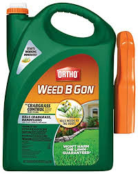 Crabgrass is adaptive and can grow vertical blade shoots, often making it difficult to identify if you're not familiar. How To Kill Crabgrass Without Killing Other Plants Outsidemodern