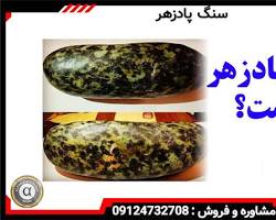 Image of سنگ پادزهر پادشاه (فرضی)