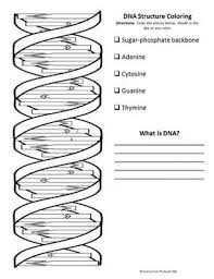 Pin By Ria Dila On Science Class Heredity Reproduction Dna Double Helix Dna Facts