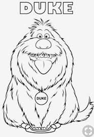 Don't cut the whole inside square out. Pin By Julianna Hirsch On Child Tshirts Secret Life Of Pets Pets Drawing Pets Movie
