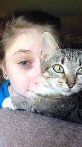 Lost gray cat with yellow eyes in Lamb Lake area