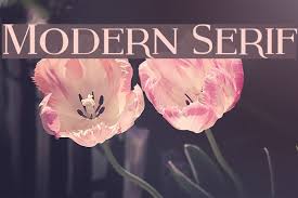 1 2 3 4 5 6 7 8 9 10. Modern Serif Font Ffonts Net