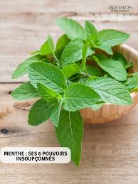 Menthe Ses 6 Pouvoirs Insoupconnes Menthe Plante Plantes Aromatiques