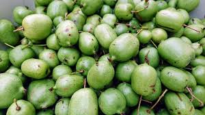 A dwarf tree is a small cultivar of full sized fruit trees that can yield many mature fruits in a year without taking up the usual growing space occupied by trees. Unusual Fruit And Fruit Trees To Grow Old Farmer S Almanac