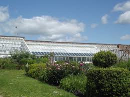 There are times when you are able to get old windows on websites like craigslist for free. How To Choose The Best Greenhouse Materials To Extend Your Gardening Season Insteading