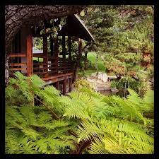 Photo Tea House In Brand Park Glendale Ca Via Instagram My Word With Douglas E Welch Glendale Tea House Photo