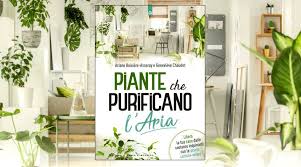 .delle piante assorbendo l'anidride carbonica, ma allo stesso tempo è in grado di produrre energia pulita. Scopri La Capacita Delle Piante Di Depurare L Aria Di Casa