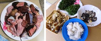 Risultati immagini per ofe