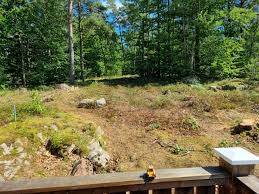 Image result for site:byggahus.se trädfällning