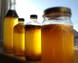 Everything You Need To Know About Kombucha Kombucha How To Make Kombucha Health Benefits Kombucha