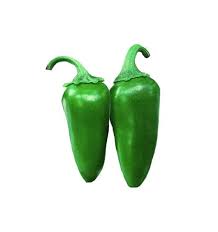 At maturity, scotch bonnets are yellow, orange, or bright red. Jalapeno Tam Seeds Sandia Seed Company