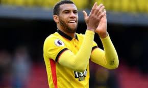 Image result for etienne capoue