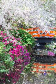 Descanso Gardens Try Something Fun Japanese Garden Japanese Garden Landscape Azalea Flower