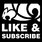 Mayssa bastos vs serena gabrielli, brazilian jiu jitsu. Mayssa Bastos Vs Serena Gabrielli Pan Championship 2019 Youtube