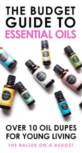 the affordable guide to essential oils young living dupes