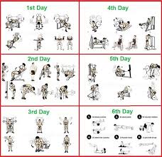 The Perfect 6 Day Beginner S Bodybuilding Program Weekly Workout Plans Weekly Workout Workout Program Gym