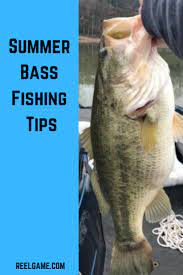 Summer Bass Can Be Tough To Find This Guide Will Help You Learn How To Catch Bass All Summer Long Bass Fishing Pictures Bass Fishing Boats Fishing Tips