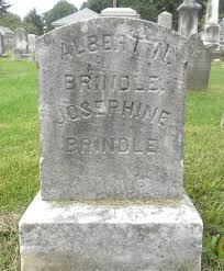 Albert N. Brindle (1856-1911)