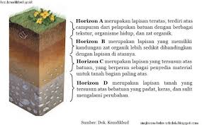 Learn more here you are seeing a 360° image instead. Bab 9 Tanah Dan Keberlangsungan Kehidupan Ilmu Pengetahuan Alam Ipa Kelas 9 Smp Mts