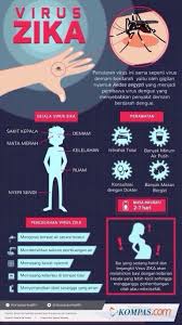 Demam denggi adalah sejenis penyakit jangkitan virus yang merebak melalui gigitan nyamuk terdapat empat (4) jenis virus yang boleh menyebabkan demam denggi (den 1, den 2, den 3 dan den 4). Menry Rain