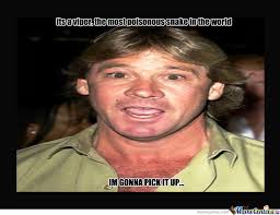 Steve Irwin Quotes Quotesgram