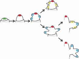 Image result for Chrysochloa hubbardiana