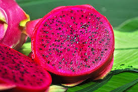 Our world famous dragon fruit passion fruit florida weisse. Drachenfrucht Rot Fruchtlawine